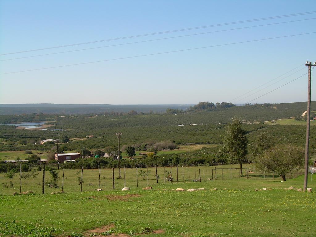The Hexagon Wildlife Conservation Uitenhage Exterior foto